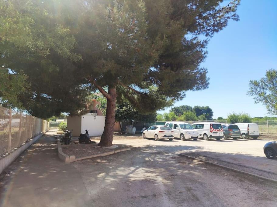 Apartamento Harmonie Du Sud Le Grau d'Agde Exterior foto