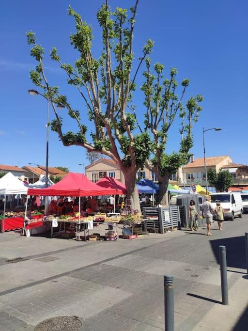 Apartamento Harmonie Du Sud Le Grau d'Agde Exterior foto